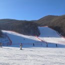 중로2-600 | 32🙂