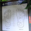 별밤미술관 in 첨단 | 광주 광산구 맨발산책로 쌍암 공원, 별밤 미술관 in 첨단 이재문 초대전 &#39;환상의 여름밤&#39;