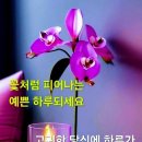 4월이 지나면 계절의 여왕 5월입니다. 이미지