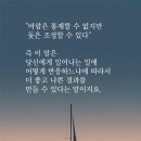 사랑으로 이미지