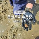 몽산포랑바다랑 | 몽산포해수욕장 태안 물때표 보는법 및 해루질 후기