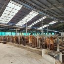 앞동산농장 이미지