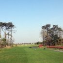 비지니스 골프클럽 이미지