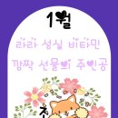 라라음악학원 이미지