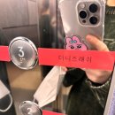 더니즈 래쉬