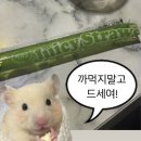 어풍코다리 | [덕천 맛집] 회그레이 | 존맛 횟집 추천