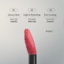 205 | 핑크 틴트 딘토 블러글로이 틴트 205 유스티티아 내돈내산 후기