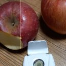 오봉농원 이미지