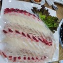 구로디지털단지 횟집 추천 | 탐나종합어시장 대짜 세트 회 후기 (광어·우럭·도미 구성) 구디 맛집