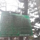동막민박 네이버블로그