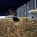 신세계센텀마쥬 | 2