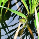 동심농장 이미지