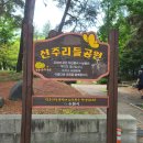 선주리들 이미지