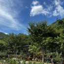 지리산자연애펜션 이미지