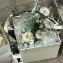 벨라하르딘