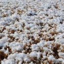 맛이만나 이미지