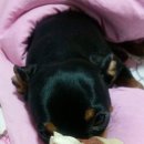 근수농장 이미지