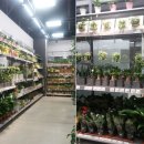 (주)이마트 김해점 이미지