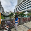 2019 문화도시 오픈스쿨 <문?전?성?시> | 아기와 크루즈 여행 4일차 (일본입국 기항지 오키나와 나하