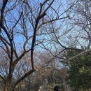 (주)시시아이 이미지