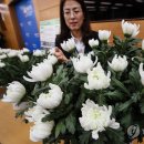 백마축산 이미지