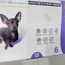 부부온누리약국 이미지