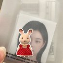 도봉-도봉-서울도봉-2211 이미지