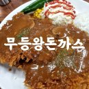무등발전소 | 광주 돈까스맛집 무등왕돈까스 수완점 솔직후기 GO!