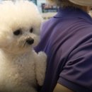 영배농장 이미지