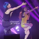 어울림 라인댄스(A) / 강좌번호 28 | 2015 XIA(김준수) 3rd Asia Tour Concert in Seoul &#39;Flower(꽃)&#39;