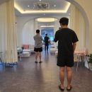 알파카 소풍 펜션 이미지