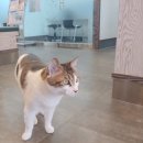 테크노연합 동물병원 이미지