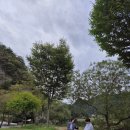 팔레드차밍리조트 이미지