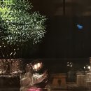 GS25 엘지점 이미지