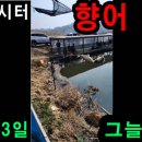 그늘막26 네이버블로그