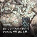 광주송정다가치문화도서관 | 광주 산책로 추천 광산구 송정공원 봄꽃 나들이 가볼만한곳