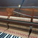 비파음악학원 이미지