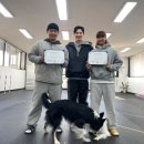 독트레이닝온 이미지