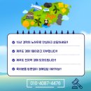 덕수공인중개사사무소 | 제주경매 - 서귀포시 안덕면 덕수리 단독주택경매