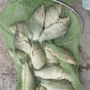 여수낚시터 이미지