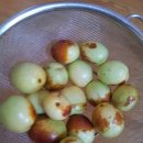 대추나무민박 이미지