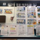 용인대영광태권도장 이미지