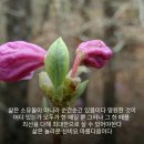 치키치키 이미지