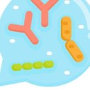 서초구름약국 이미지