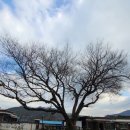 원용복마을 이미지