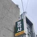 서울농약사 | 대전 유성 5일장 모종 구매 후기｜4월 판매 작물 &amp; 구매처 총정리 (주말농장 초보 필독)