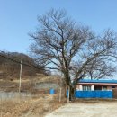 상승노동분교 네이버블로그