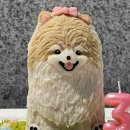 봄이까까 이미지