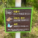 송촌게임장 이미지