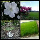 김춘식농장 이미지